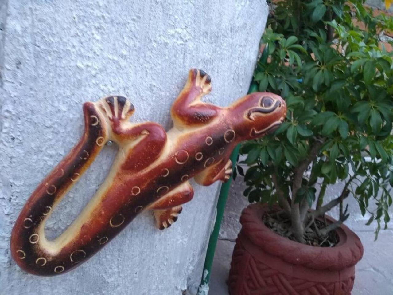 Вілла Casa Alebrijes Текіла Екстер'єр фото